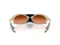 Oakley Plantaris Gafas de Sol OO 9437 02