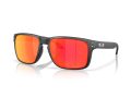Oakley Holbrook Xxl Gafas de Sol OO 9487 06