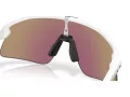 Oakley Stunt Devil Gafas de Sol OO 9517 04
