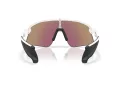 Oakley Stunt Devil Gafas de Sol OO 9517 04