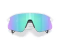 Oakley Stunt Devil Gafas de Sol OO 9517 04