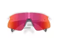 Oakley Stunt Devil Gafas de Sol OO 9517 10