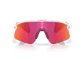 Oakley Stunt Devil Gafas de Sol OO 9517 10
