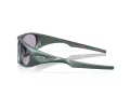 Oakley Neoforma Gafas de Sol OO 9528 02