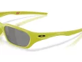 Oakley Terraforma Gafas de Sol OO 9530 04