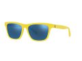 Polo Gafas de Sol PH 4167 5420/55