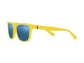 Polo Gafas de Sol PH 4167 5420/55