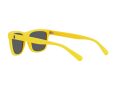 Polo Gafas de Sol PH 4167 5420/55