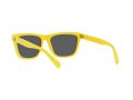 Polo Gafas de Sol PH 4167 5420/55