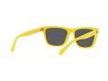 Polo Gafas de Sol PH 4167 5420/55