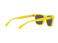 Polo Gafas de Sol PH 4167 5420/55