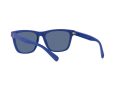 Polo Gafas de Sol PH 4167 5962/80