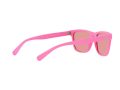 Polo Gafas de Sol PH 4167 5970/7V