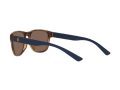Polo Gafas de Sol PH 4180U 5003/73