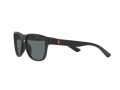 Polo Gafas de Sol PH 4180U 5375/81