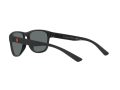 Polo Gafas de Sol PH 4180U 5375/81