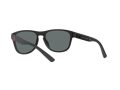 Polo Gafas de Sol PH 4180U 5375/81