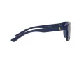 Polo Gafas de Sol PH 4180U 5620/80