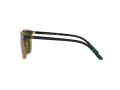 Polo Gafas de Sol PH 4185U 5003/71