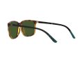 Polo Gafas de Sol PH 4185U 5003/71
