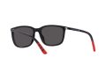 Polo Gafas de Sol PH 4185U 5375/87