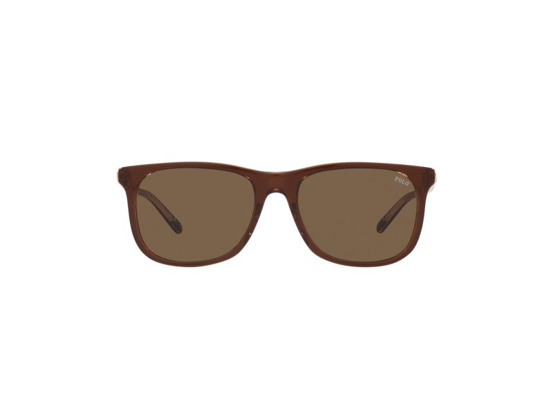 Polo Gafas de Sol PH 4186U 6029/73