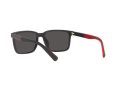 Polo Gafas de Sol PH 4189U 5375/87