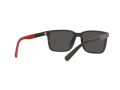 Polo Gafas de Sol PH 4189U 5375/87