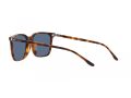 Polo Gafas de Sol PH 4194U 608980