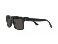 Polo Gafas de Sol PH 4195U 500187
