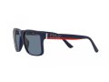 Polo Gafas de Sol PH 4195U 59042V