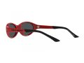Polo Gafas de Sol PH 4197U 609187