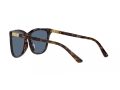 Polo Gafas de Sol PH 4201U 500380