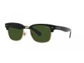 Polo Gafas de Sol PH 4202 500171