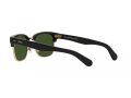 Polo Gafas de Sol PH 4202 500171