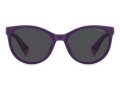 Polaroid Gafas de Sol PLD 8065/S B3V/M9