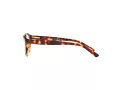 Polo Gafas Graduadas PP 8526 1591