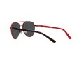 Polo Gafas de Sol PP 9001 9006/87