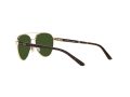 Polo Gafas de Sol PP 9001 9189/71