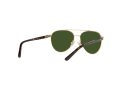 Polo Gafas de Sol PP 9001 9189/71
