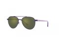 Polo Gafas de Sol PP 9001 94596R
