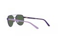 Polo Gafas de Sol PP 9001 94596R