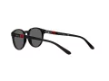 Polo Gafas de Sol PP 9502 5001/87