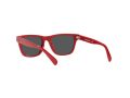 Polo Gafas de Sol PP 9504U 5257/87