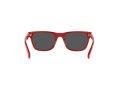 Polo Gafas de Sol PP 9504U 5257/87