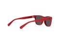 Polo Gafas de Sol PP 9504U 5257/87