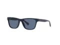 Polo Gafas de Sol PP 9504U 5620/80