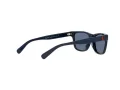 Polo Gafas de Sol PP 9504U 5620/80