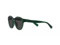 Polo Gafas de Sol PP 9505U 608487