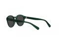 Polo Gafas de Sol PP 9505U 608487